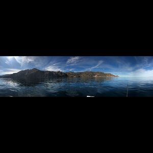 Meet your Posher, Elly